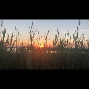 Meet your Posher, Karli